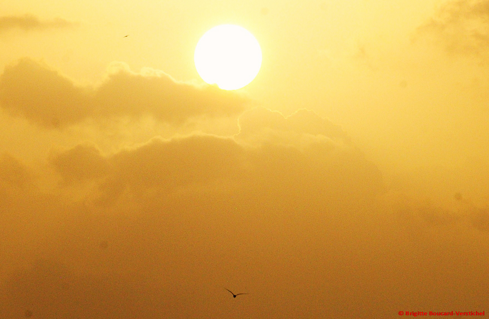 Coucher de soleil à la Pointe des Châteaux, Guadeloupe, French West Indies