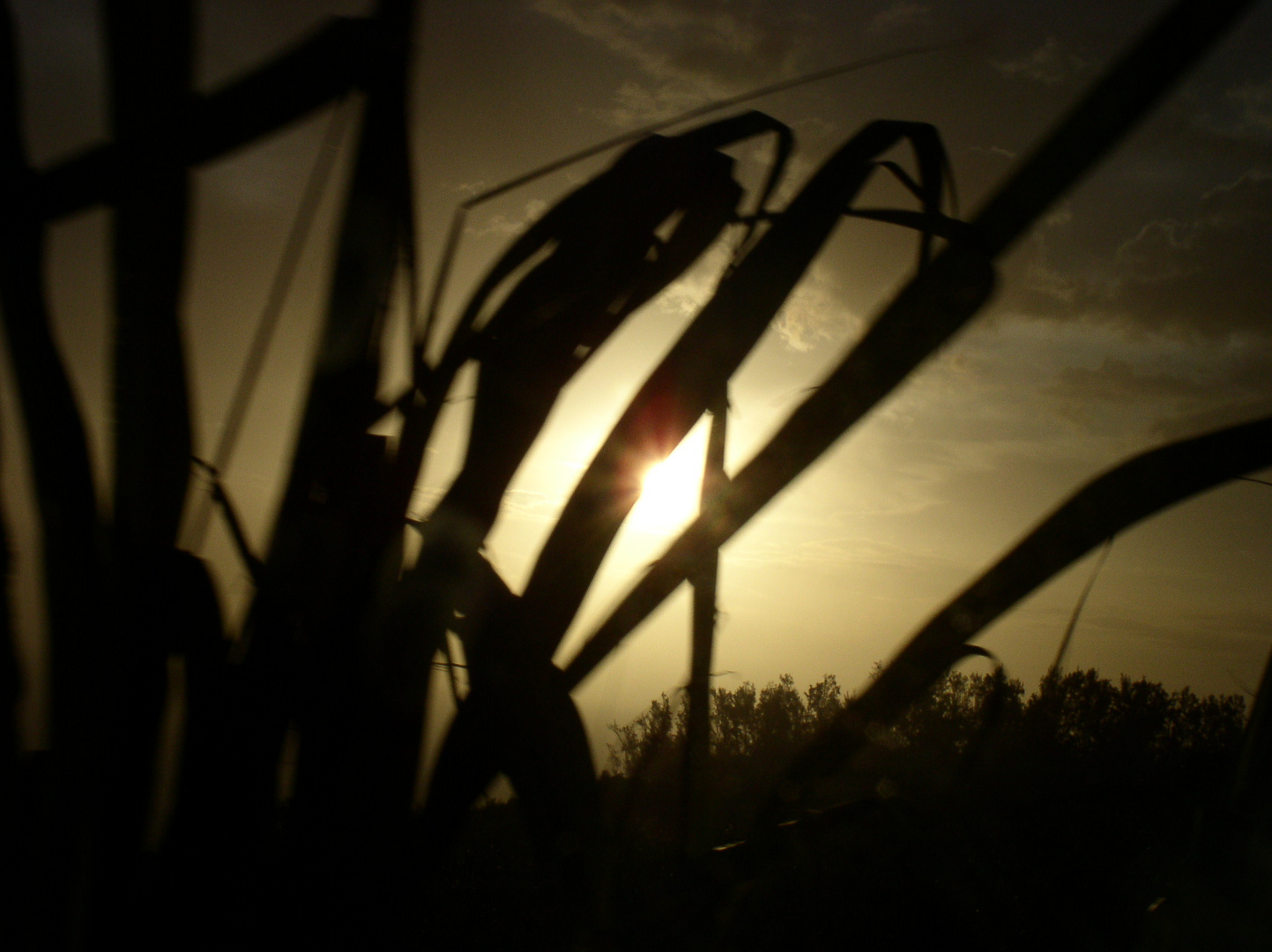 Coucher de soleil à la Réunion