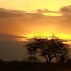 Coucher de soleil à l'Africaine