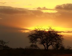 Coucher de soleil à l'Africaine