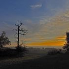 Coucher de soleil à l’arbre mort  --  Gers