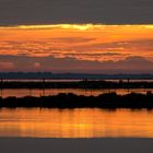 Coucher de soleil à Maguelone