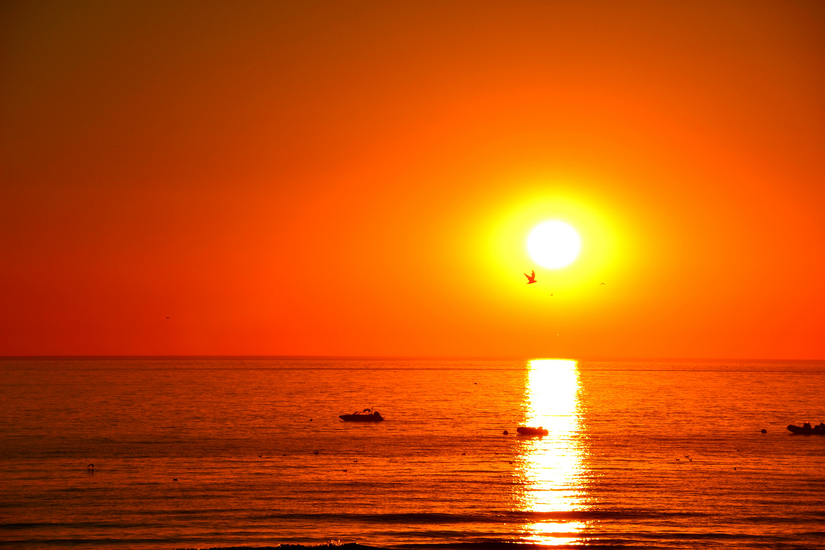 Coucher de soleil a Notre Dame de Mont (vendée)