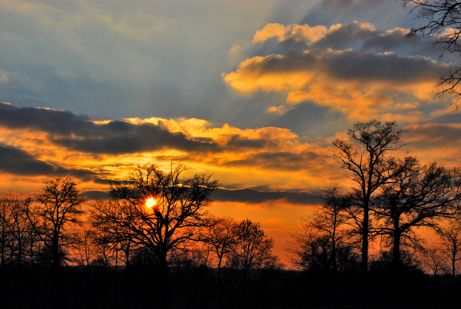 Coucher de soleil a travers le bocage normand.