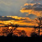 Coucher de soleil a travers le bocage normand.