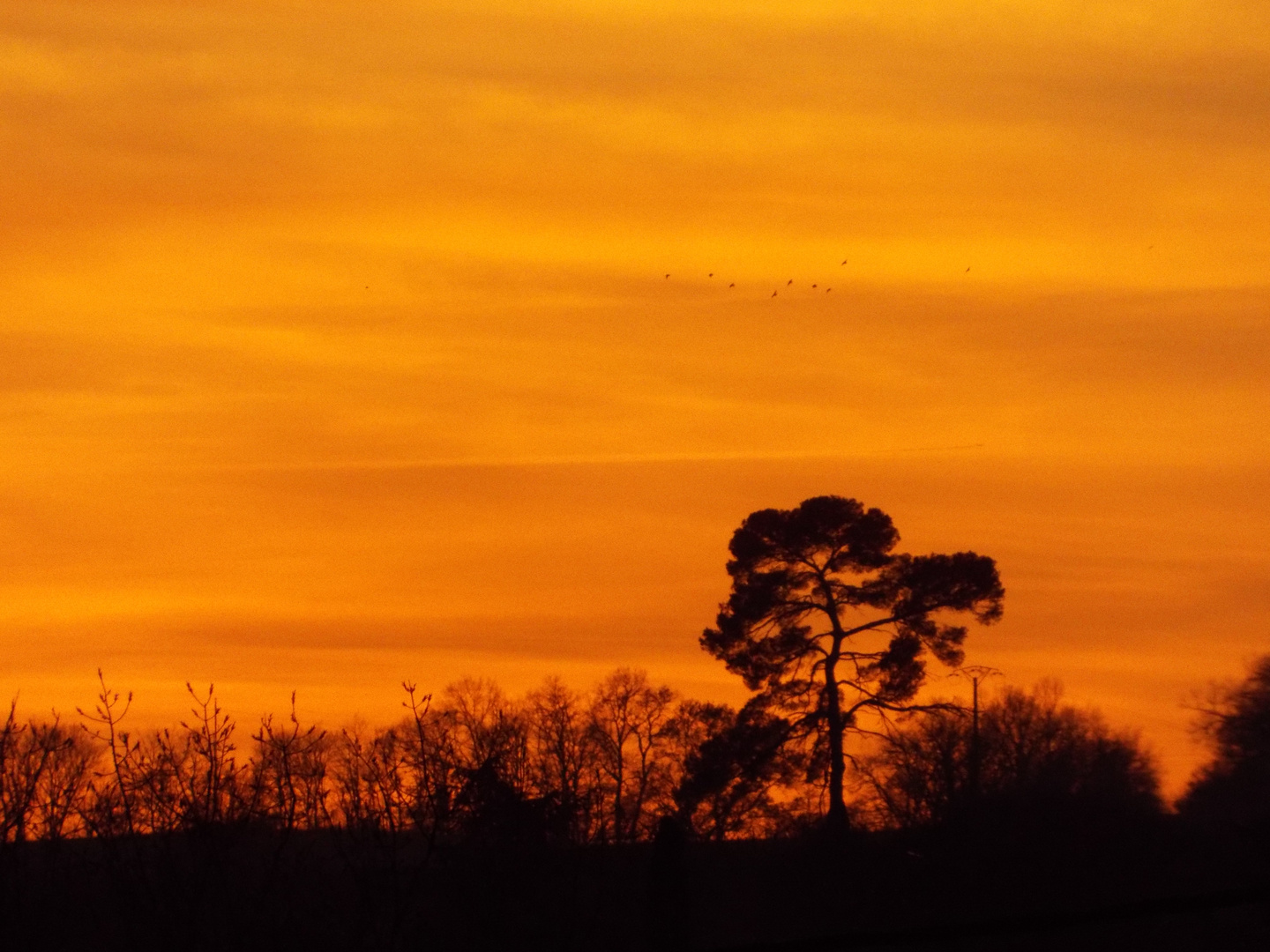 coucher de soleil