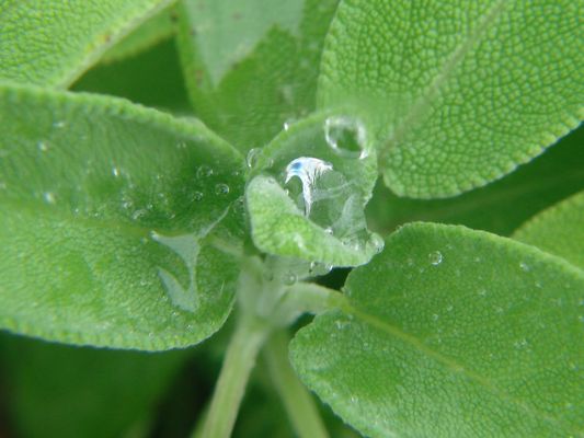coucher de soleil au Kenya