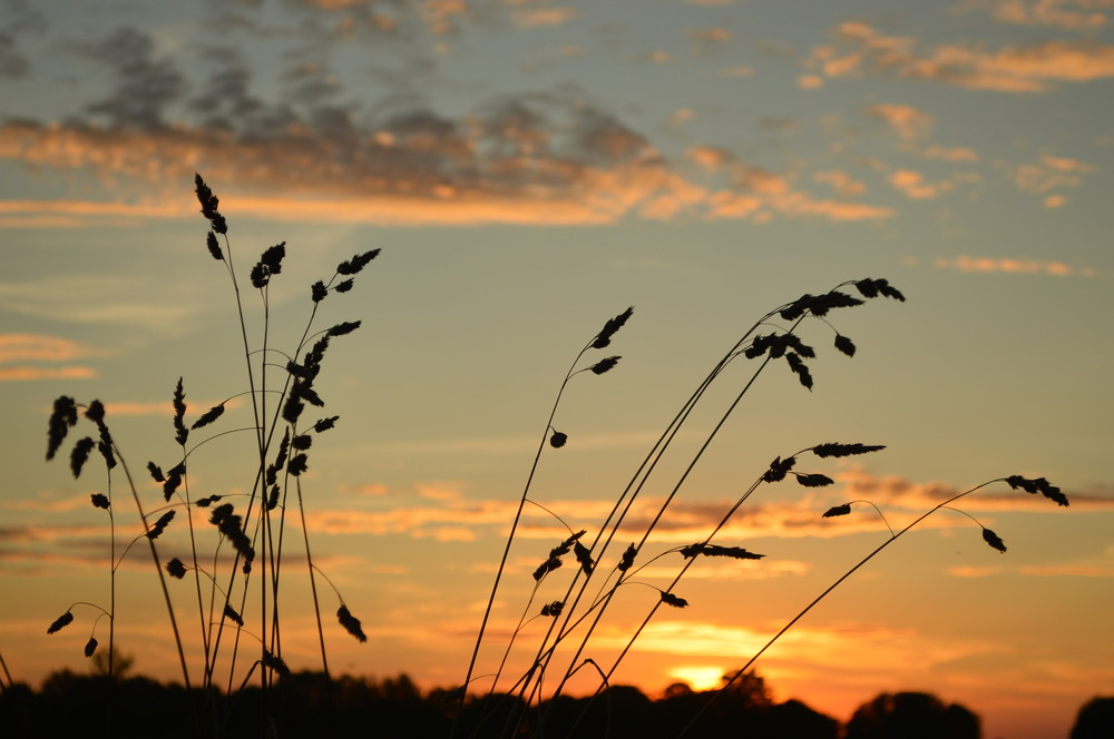 coucher de soleil