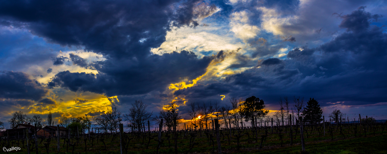 Coucher de Soleil contrasté