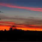 Coucher de soleil dans le Poitou en octobre