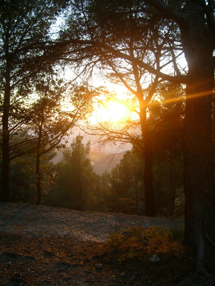 Coucher de soleil dans le sud