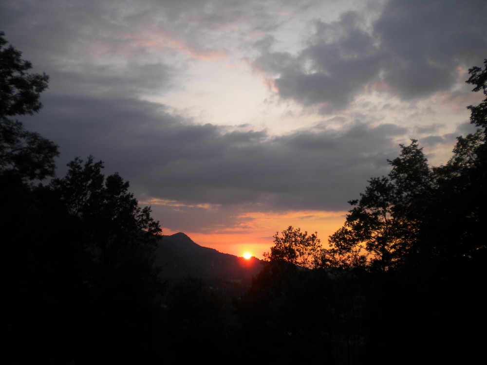 coucher de soleil dans les arbres