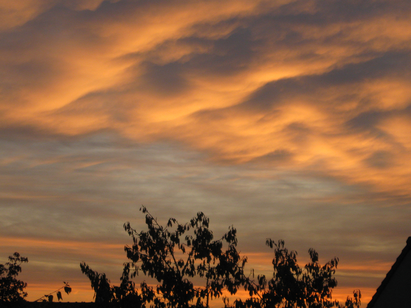 ...Coucher de soleil, de Novembre...