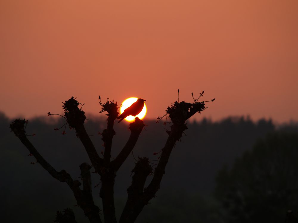 coucher de soleil