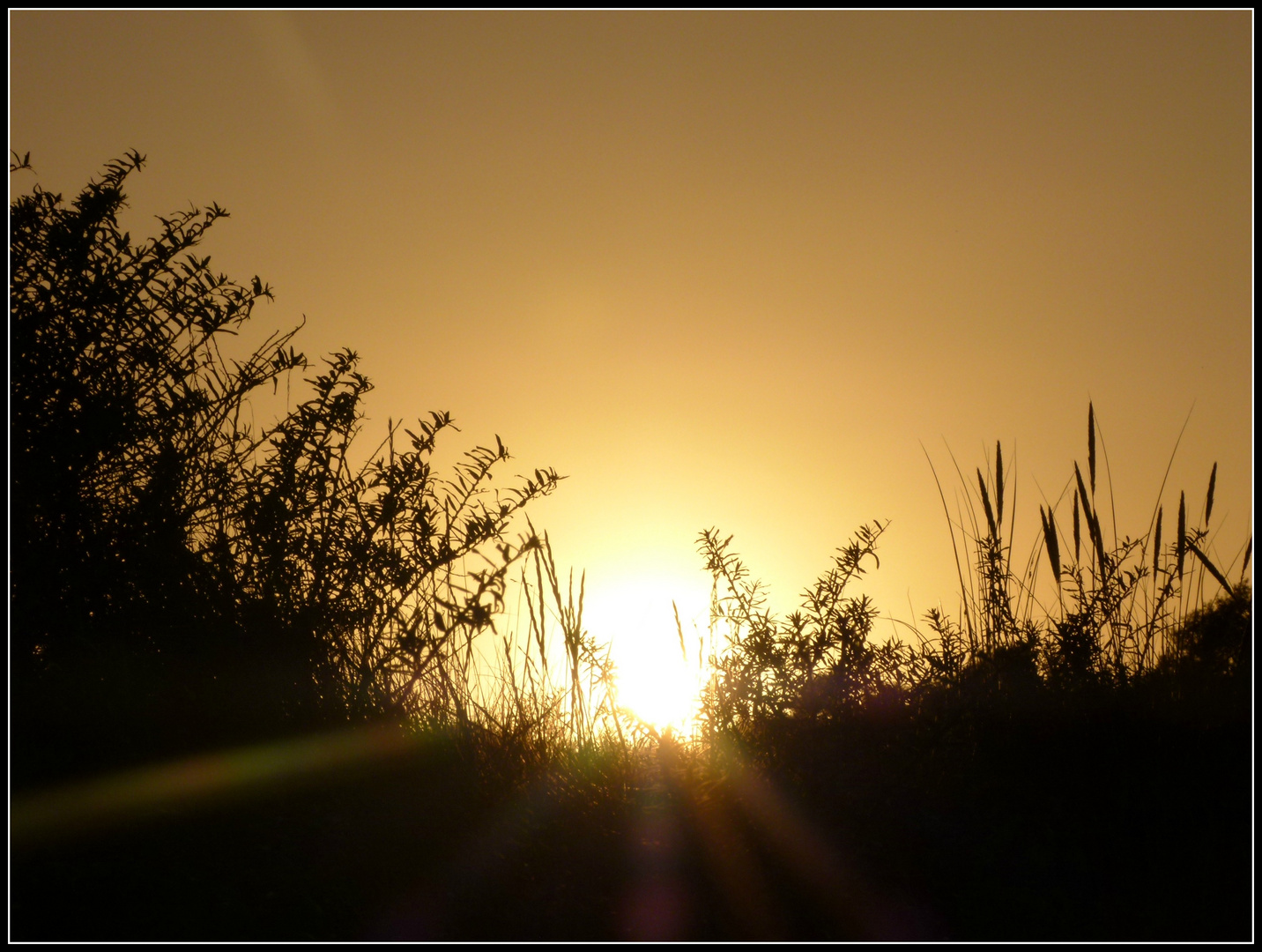 coucher de soleil derriere les dunes