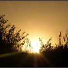 coucher de soleil derriere les dunes