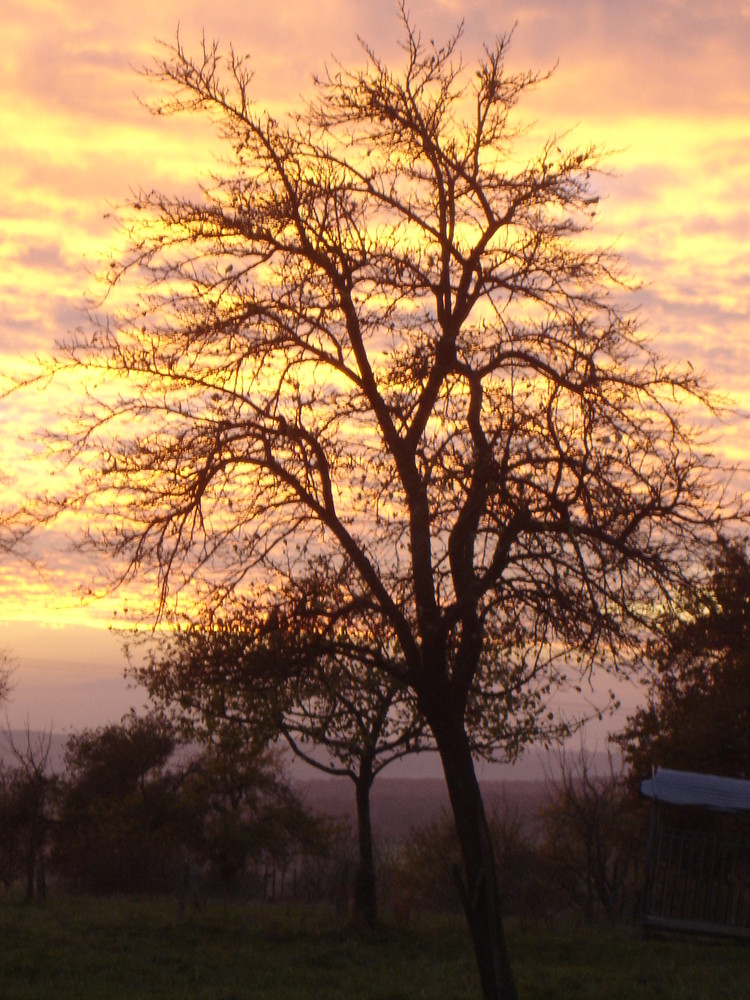 coucher de soleil