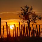 coucher de soleil en Aveyron