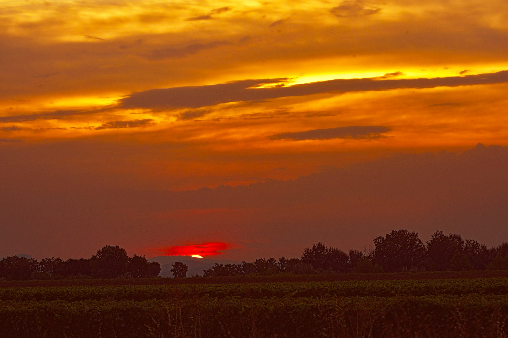 Coucher de soleil en Camargue