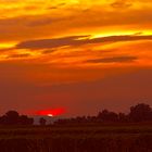 Coucher de soleil en Camargue