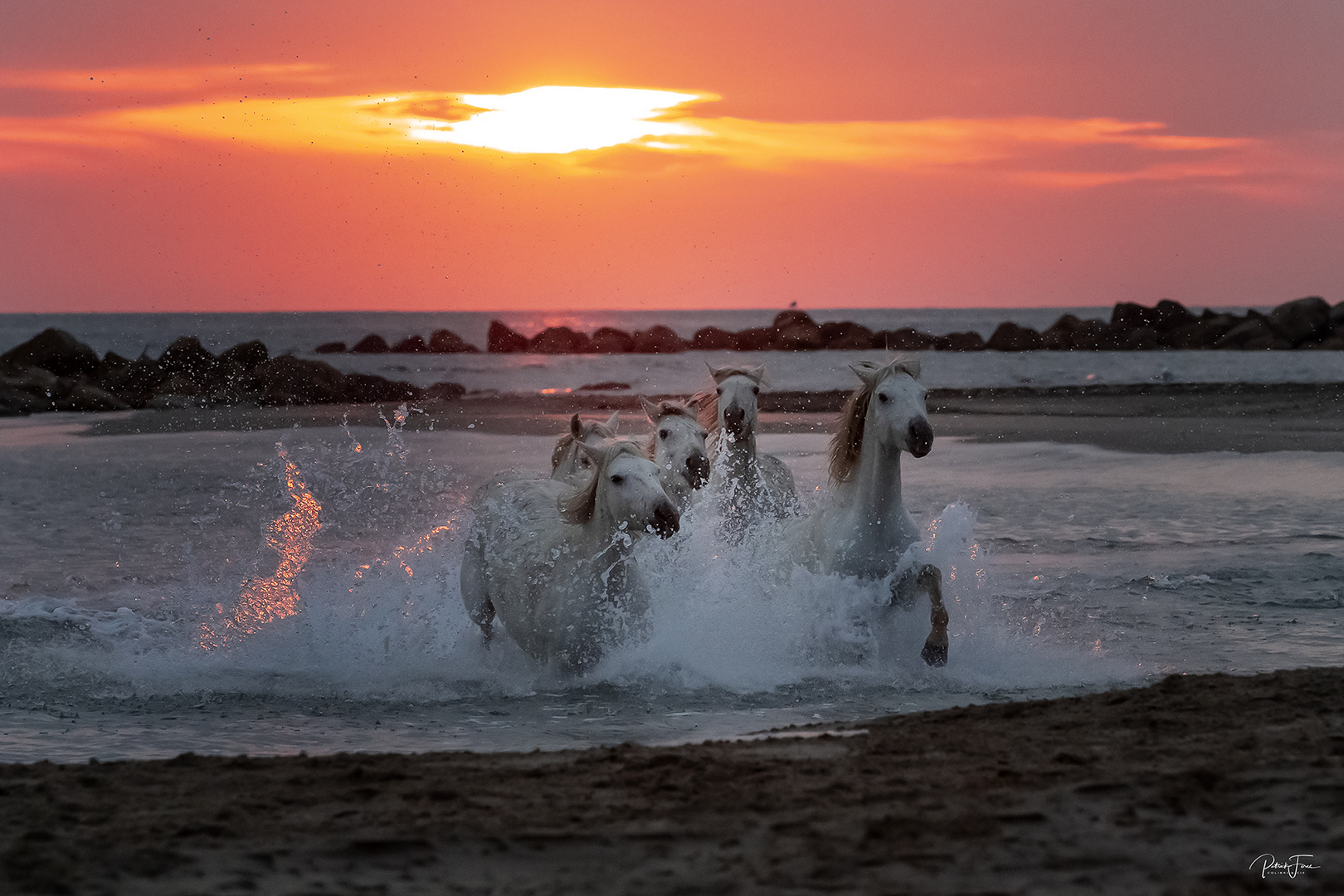 coucher de soleil en Camargue