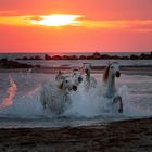 coucher de soleil en Camargue