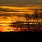 Coucher de soleil en dentelle d’arbres  --  Gers  --  Sonnenuntergang hinter Bäumenstickerei