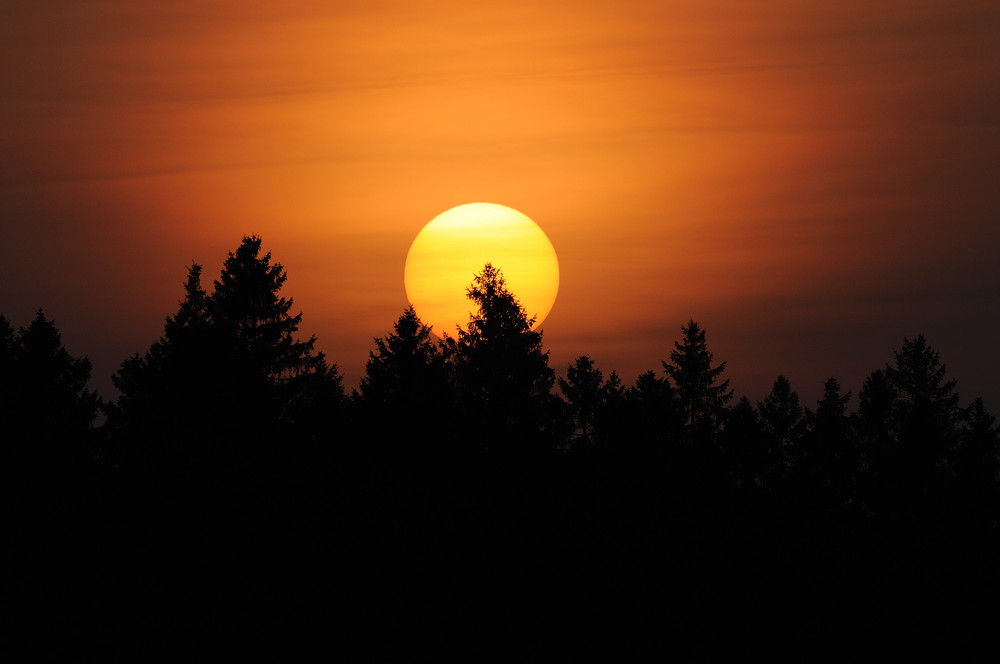 Coucher de soleil en forêt