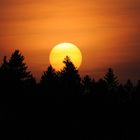 Coucher de soleil en forêt