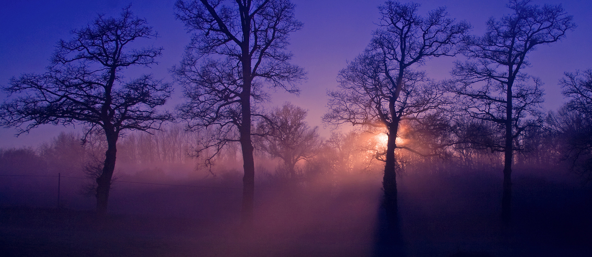 coucher de soleil en hiver