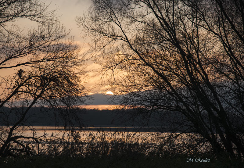 Coucher de soleil en hiver au lac du Der