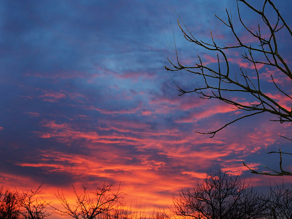 Coucher de soleil en janvier -- Caussens, Gers -- Sonnenuntergang in Januar