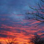 Coucher de soleil en janvier -- Caussens, Gers -- Sonnenuntergang in Januar