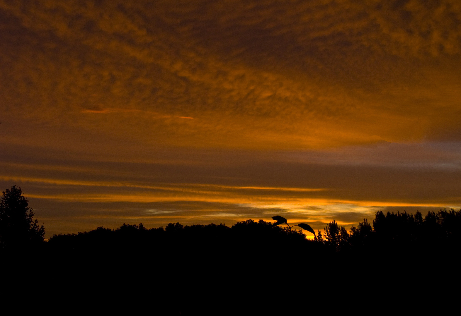 Coucher de soleil en Lomagne