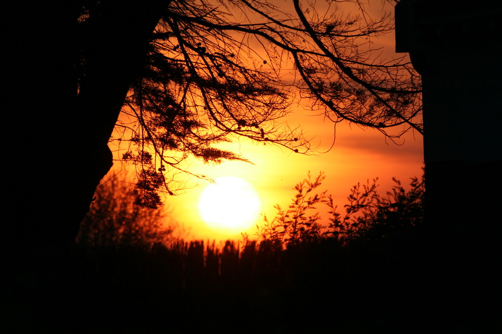 coucher de soleil entre nature et beton