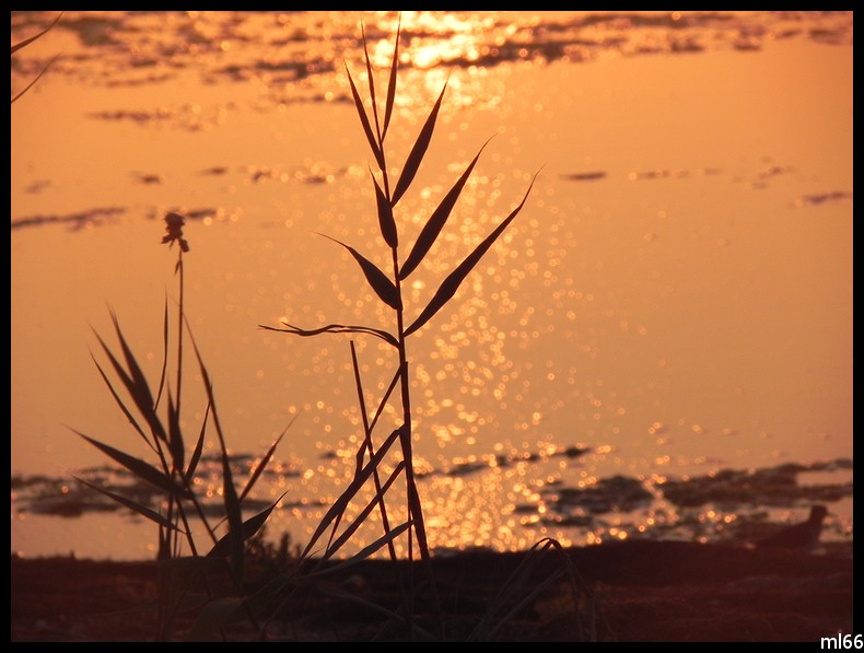 coucher de soleil etang de canet 2