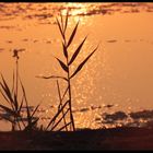 coucher de soleil etang de canet 2