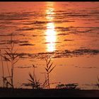 coucher de soleil etang de canet 3