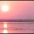 coucher de soleil etang de canet