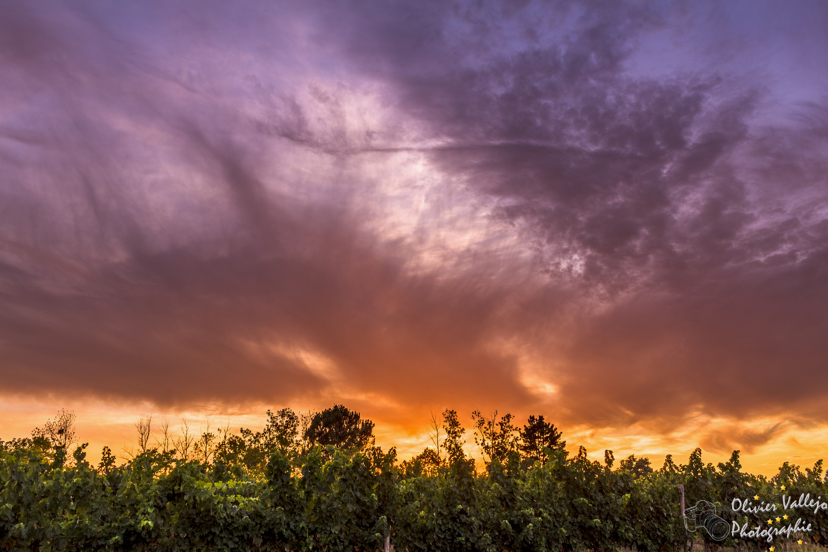 Coucher de Soleil flamboyant