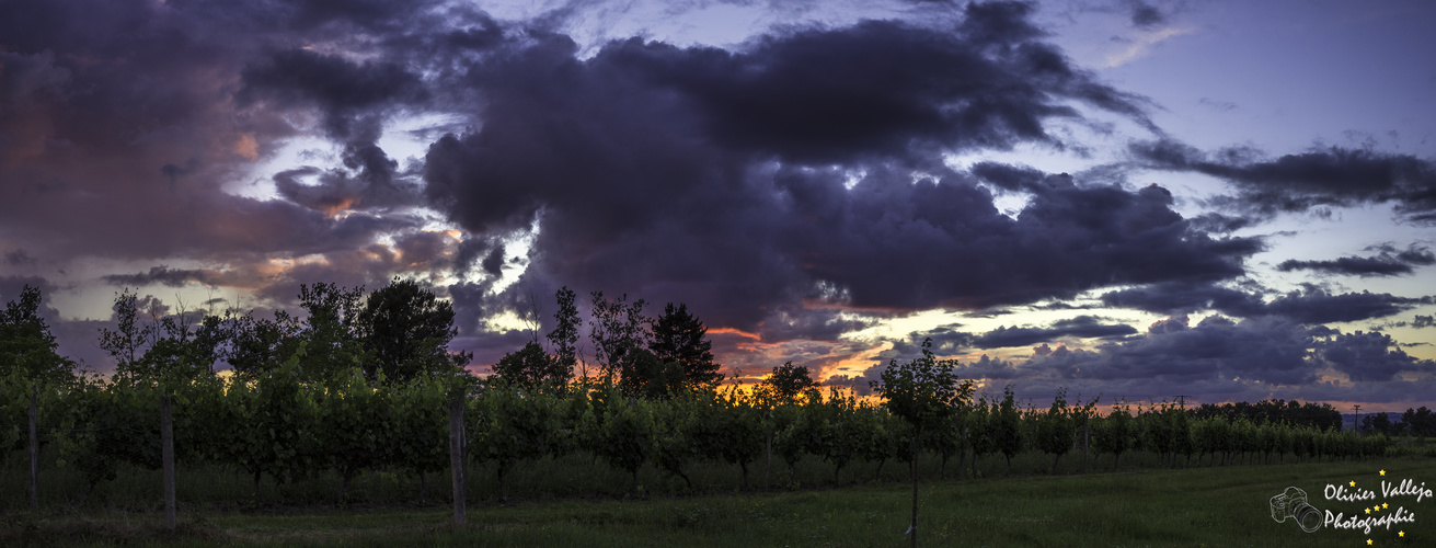 Coucher de Soleil flamboyant