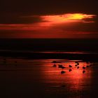 coucher de soleil Hardelot plage