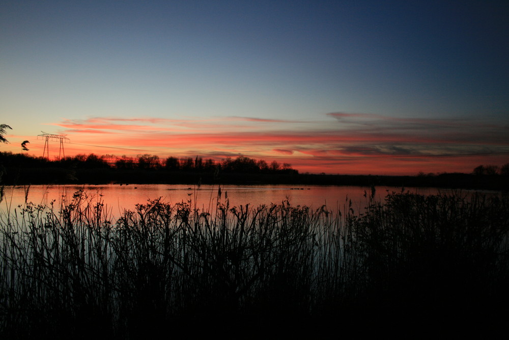 Coucher de soleil marais du blayais (GIRONDE)