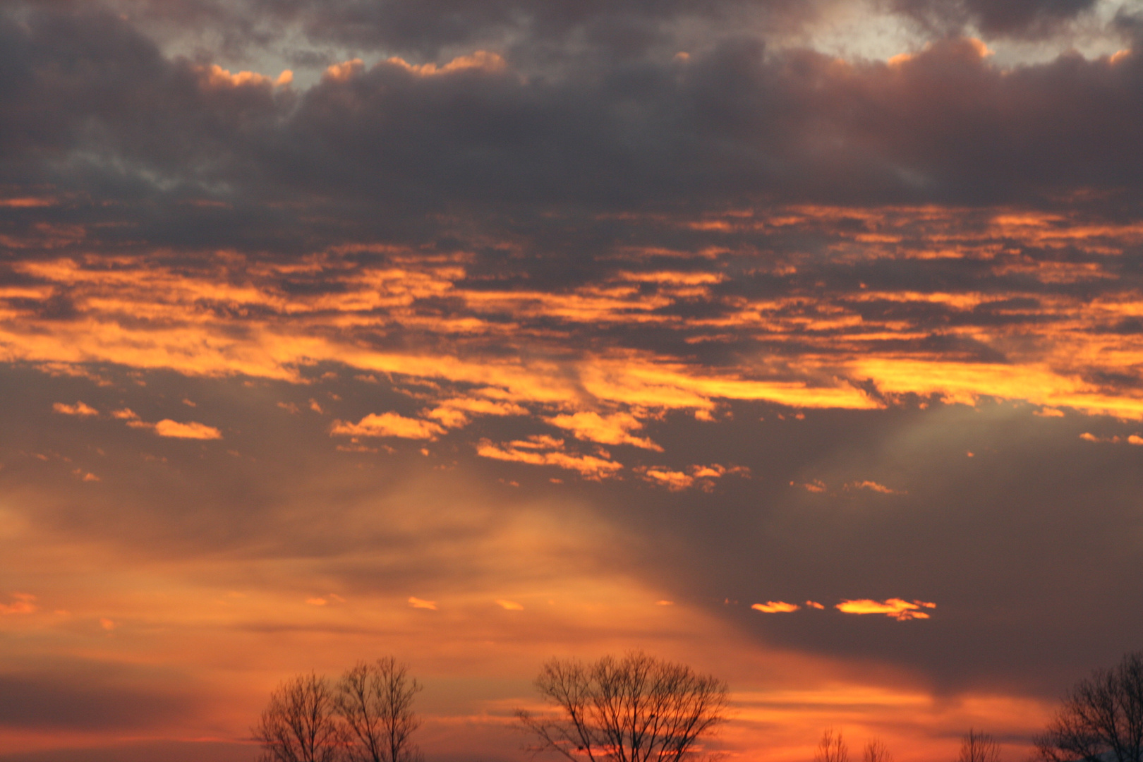 coucher de soleil nov2011 alsace