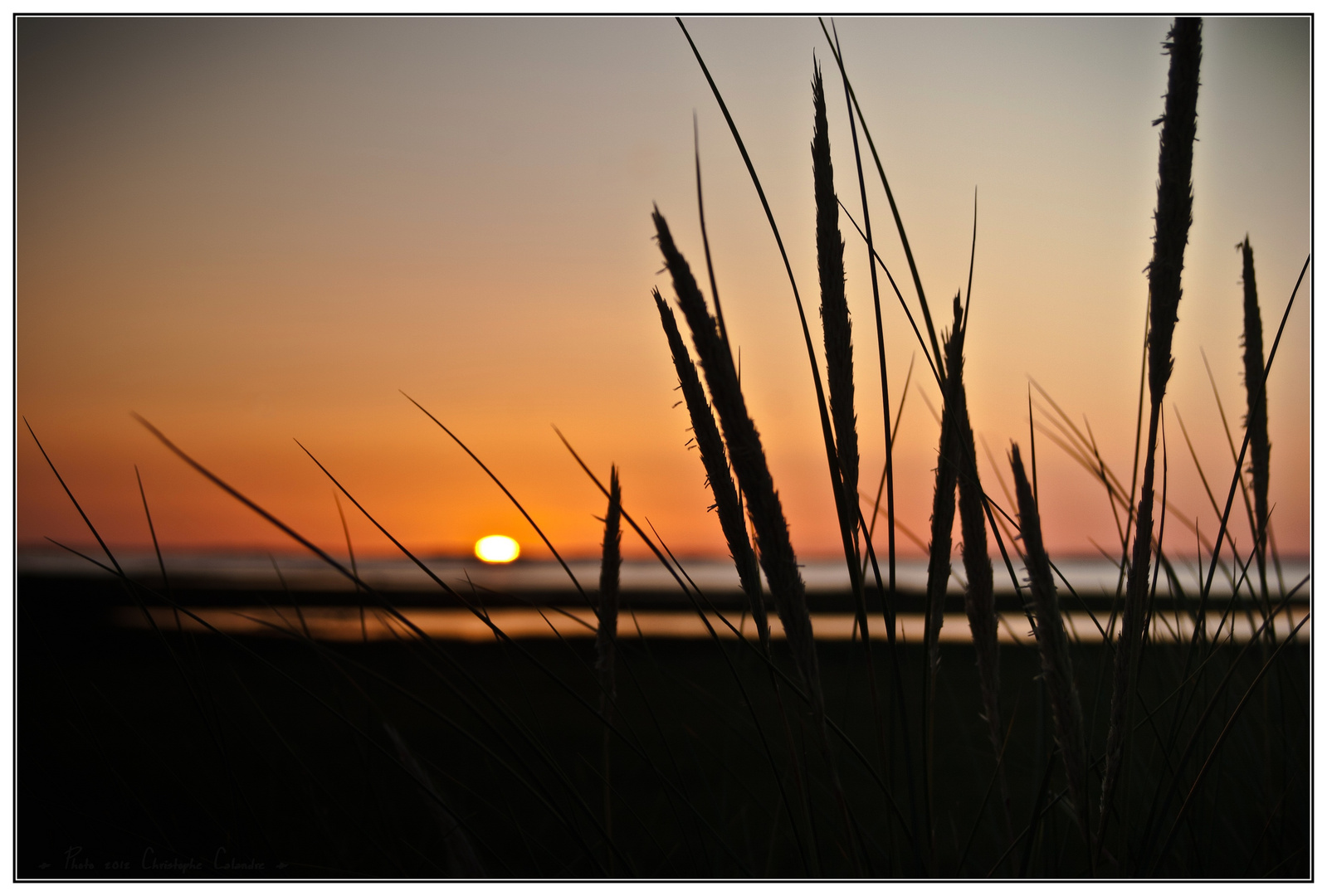 Coucher de soleil - Port de Meyran Ouest - Gujan Mestras (33)