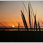 Coucher de soleil - Port de Meyran Ouest - Gujan Mestras (33)