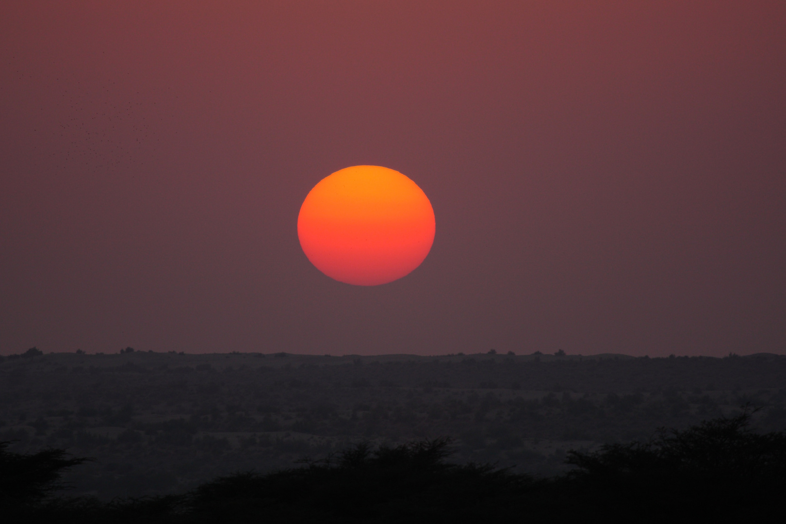 Coucher de soleil près de Jaisalmer, Rajasthan.