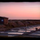 Coucher de soleil près des marais salants