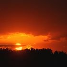 Coucher de soleil pris de mon jardin -- Sonnenuntergang vom Garten aus gesehen.