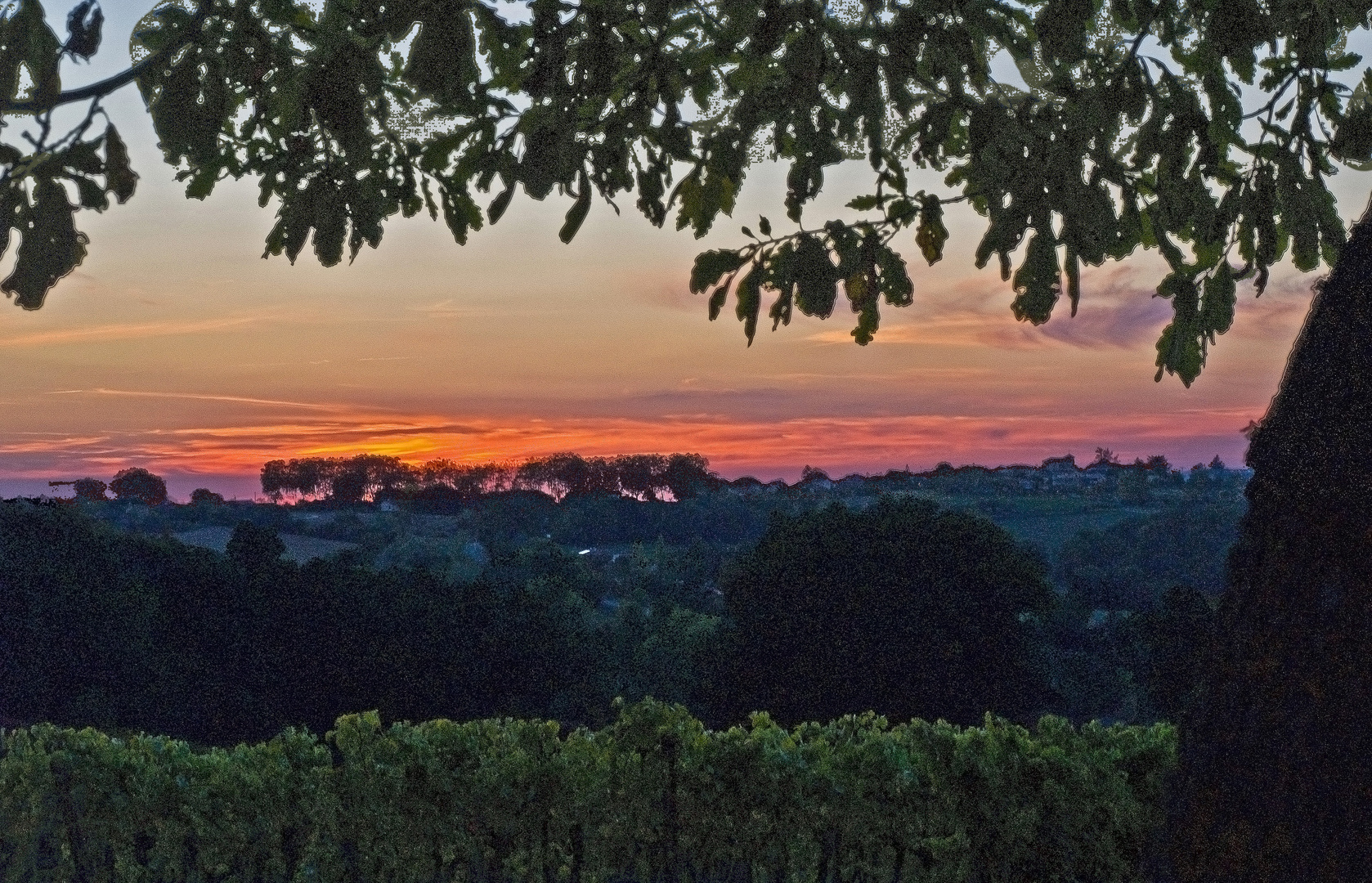 Coucher de soleil sur des vignes de la Ténarèze (Gers)